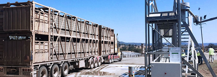 Livestock loading frames are an example of a heavy vehicle safety program funded under the HVSI.