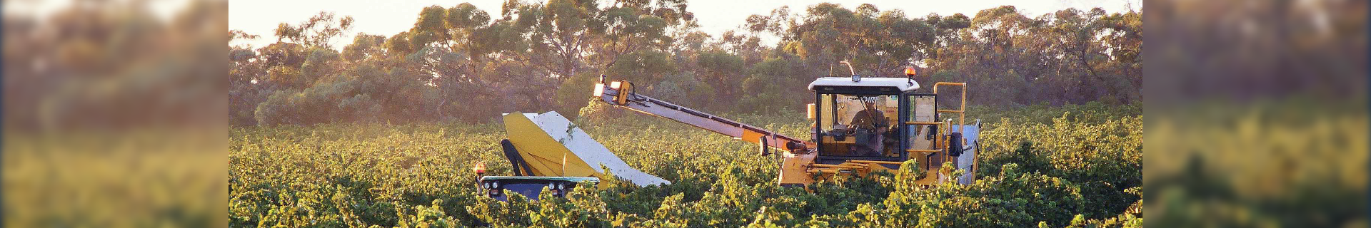 Wine Industry Code of Practice