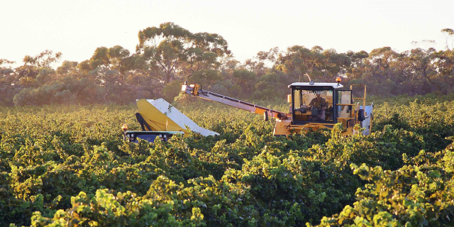 Wine Industry Code of Practice