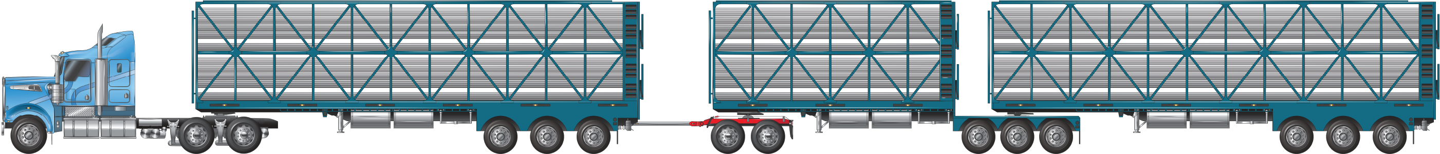 an AB-triple combination with tri axles trailers and a tandem axle dolly at 36.5 metres, used for carrying cattle, pigs, sheep or goats example