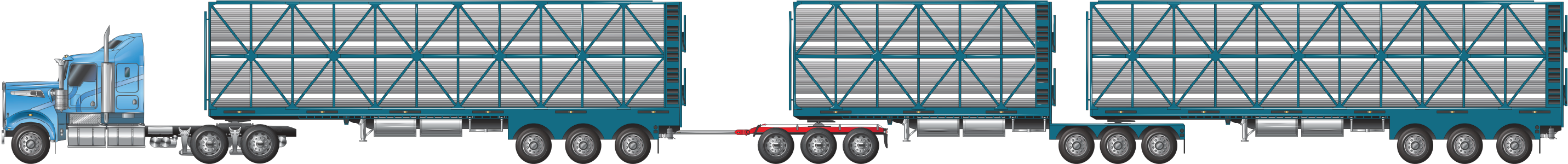 an AB-triple combination with tri axles trailers and a tri axle dolly at 36.5 metres, used for carrying cattle, pigs, sheep or goats example