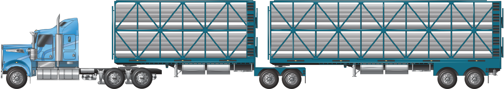 a B-double combination with tandem axles groups at 19 metres, used for carrying cattle, pigs, sheep or goats example