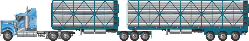 a B-double combination with tri-axles groups at 19 metres, used for carrying cattle, pigs, sheep or goats example