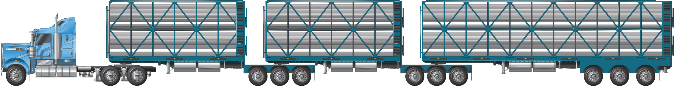 a B-triple combination with tri axles trailers at 36.5 metres, used for carrying cattle, pigs, sheep or goats example