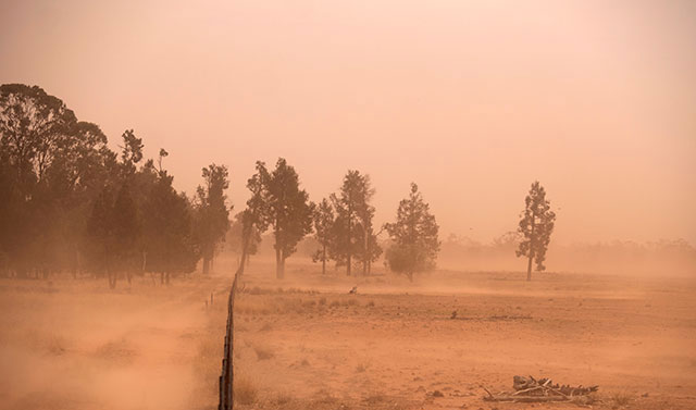 Image is of drought in NSW