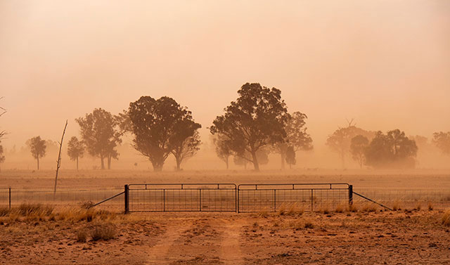 Image is of drought in NSW