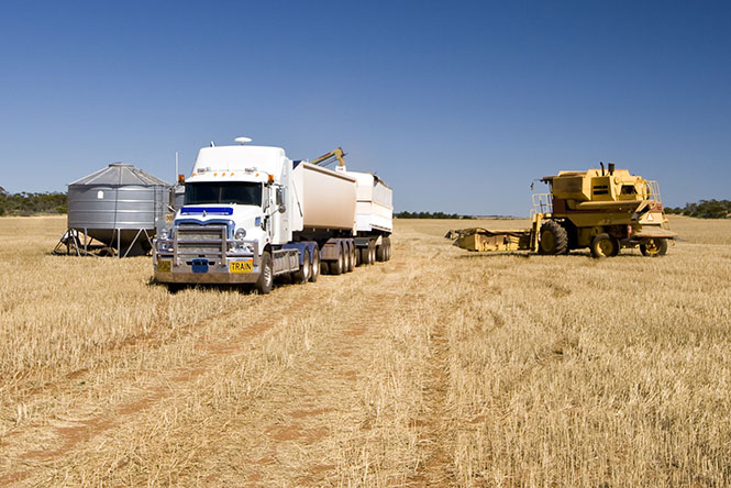 Primary Producer Vehicles