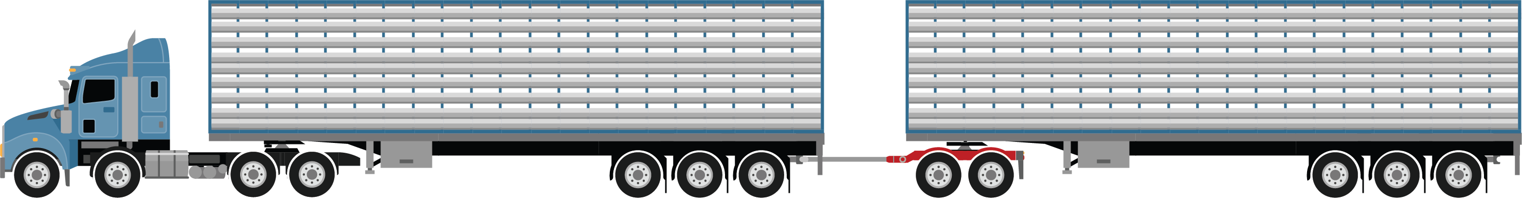 a road train combination with tri axles trailers and a tandem axle dolly at 36.5 metres, used for carrying cattle, pigs, sheep or goats example