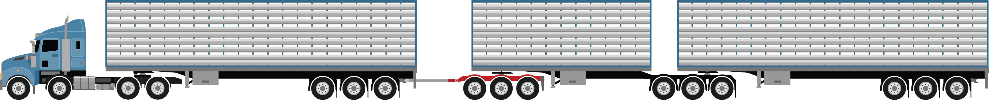 an AB-triple combination with tri axles trailers and a tri axle dolly at 36.5 metres, used for carrying cattle, pigs, sheep or goats example