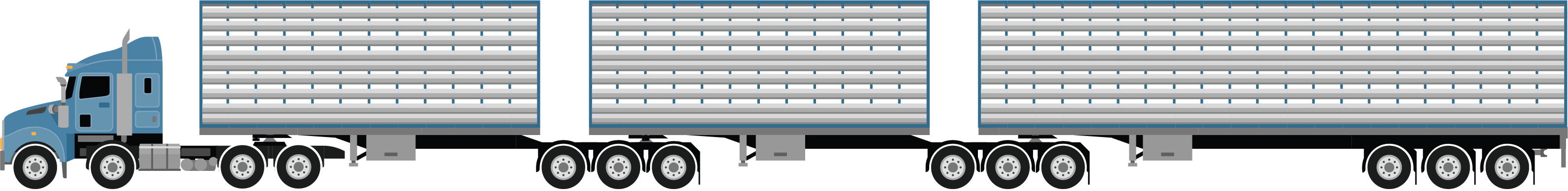 a B-triple combination with tri axles trailers at 36.5 metres, used for carrying cattle, pigs, sheep or goats example