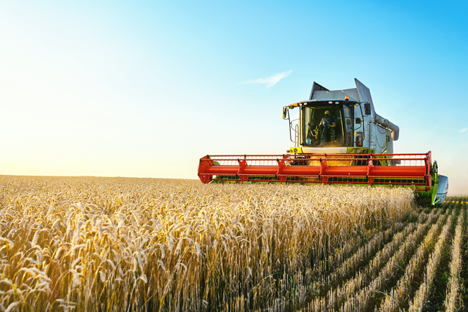 image is of a large tractor and comb implement in a field