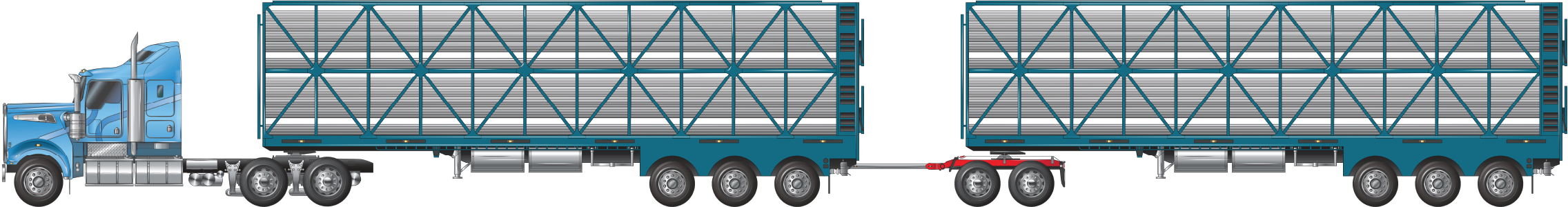 a road train combination with tri axles trailers and a tandem axle dolly at 36.5 metres, used for carrying cattle, pigs, sheep or goats example