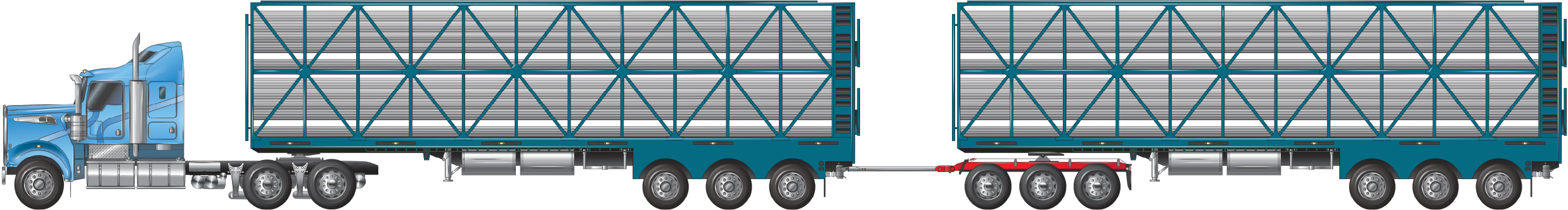 a road train combination with tri axles trailers and a tri-axle dolly at 36.5 metres, used for carrying cattle, pigs, sheep or goats example